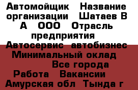 Автомойщик › Название организации ­ Шатаев В.А., ООО › Отрасль предприятия ­ Автосервис, автобизнес › Минимальный оклад ­ 25 000 - Все города Работа » Вакансии   . Амурская обл.,Тында г.